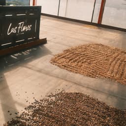 Colombia - Las Flores Red Bourbon - thumbnail 7