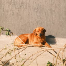 Colombia - Las Flores Red Bourbon - thumbnail 8