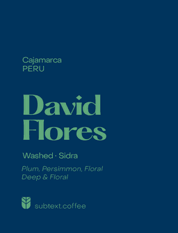 David Flores - thumbnail 1