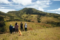 Ximena Cifuentes - thumbnail 4