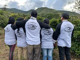 Quitupamba - thumbnail 3