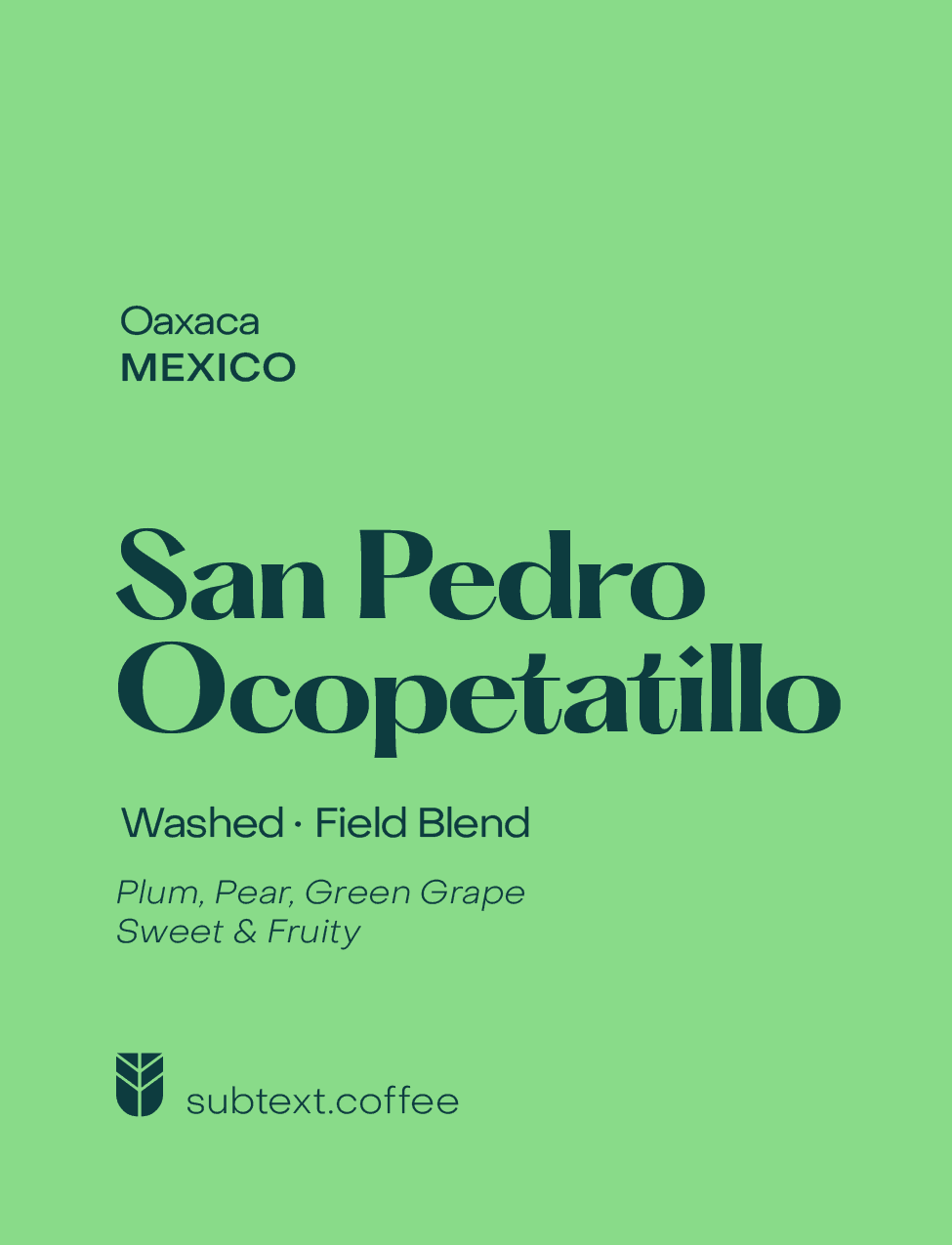 San Pedro Ocopetatillo