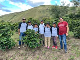 Quitupamba - thumbnail 4