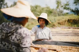 Tuma Tesso - thumbnail 4