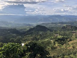 GUATEMALA JUAN RODRIGUEZ - thumbnail 5