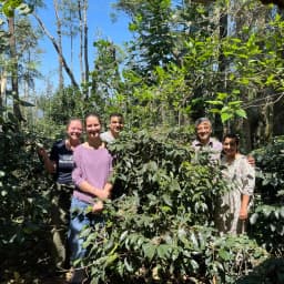 INDIE HULIKERE - thumbnail 3