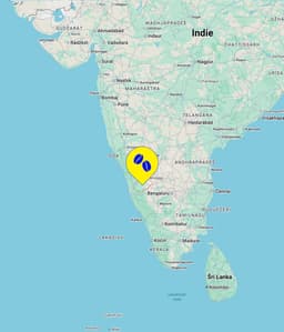 INDIE HULIKERE - thumbnail 2