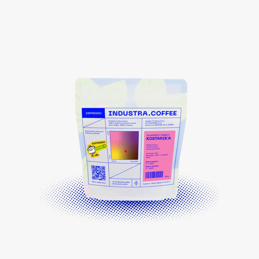 KOSTARIKA ALVARADO FAMILY