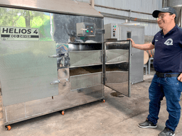 Wilton Benitez Java - thumbnail 6