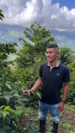 El Proceso Chiroso - thumbnail 2