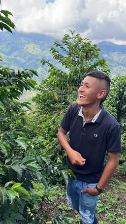 El Proceso Chiroso - thumbnail 3