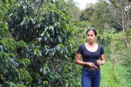 Yulieth Mora Pink Bourbon - thumbnail 3