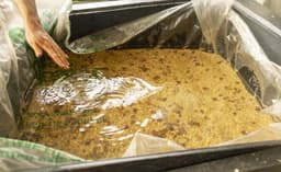 NEW RARE Colombia El Ventilador Pink Bourbon Anoxic - thumbnail 4