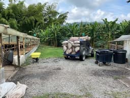 SEASONAL Decaf Jamaica Pink Bourbon Anoxic - thumbnail 4