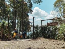 SEASONAL Decaf Jamaica Pink Bourbon Anoxic - thumbnail 5