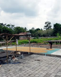 SEASONAL Indonesia Ijen Anaerobic Washed - thumbnail 5