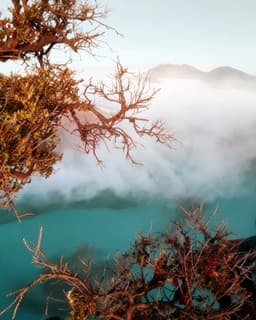 SEASONAL Indonesia Ijen Anaerobic Washed - thumbnail 2