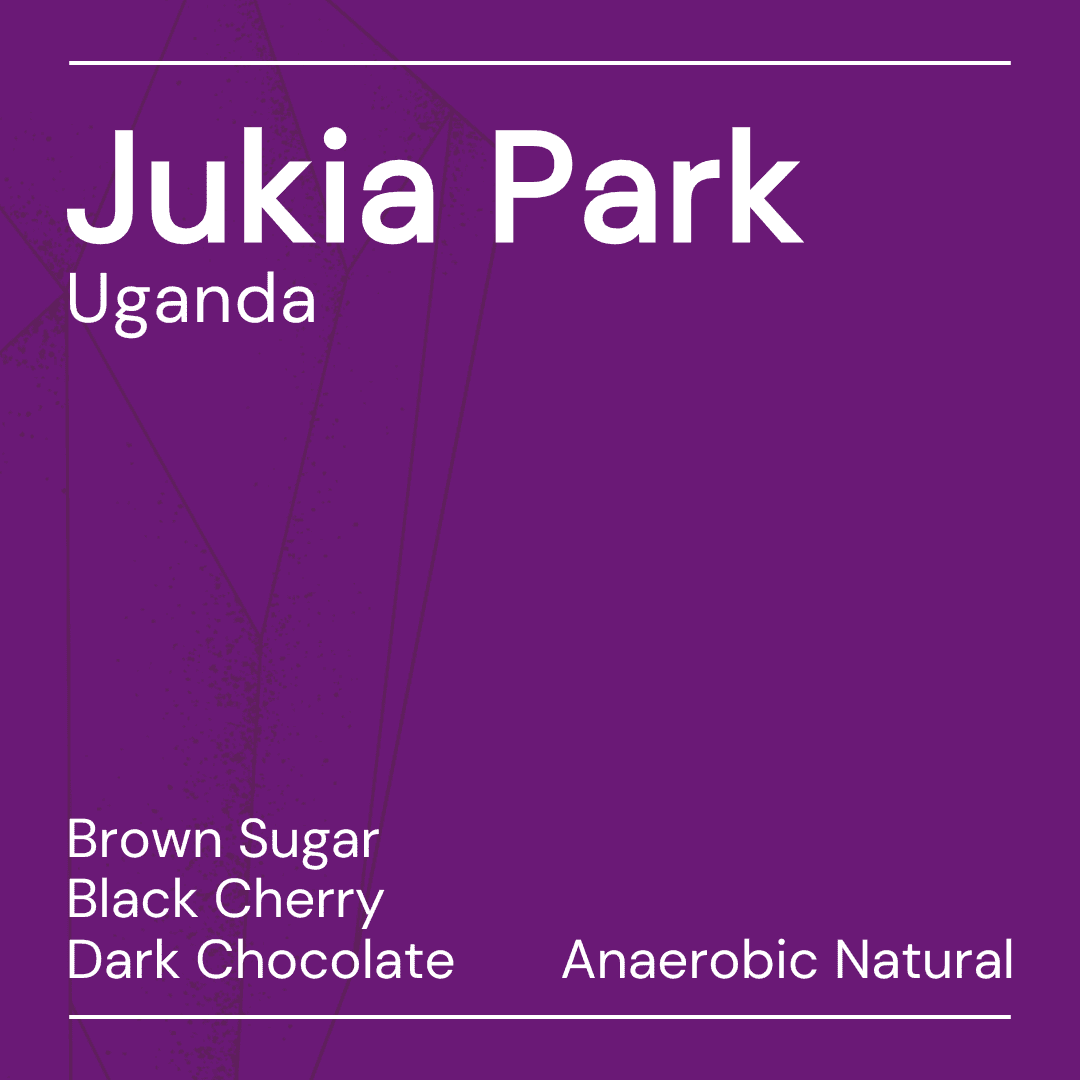 Jukia Park