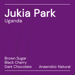 Jukia Park - thumbnail 1