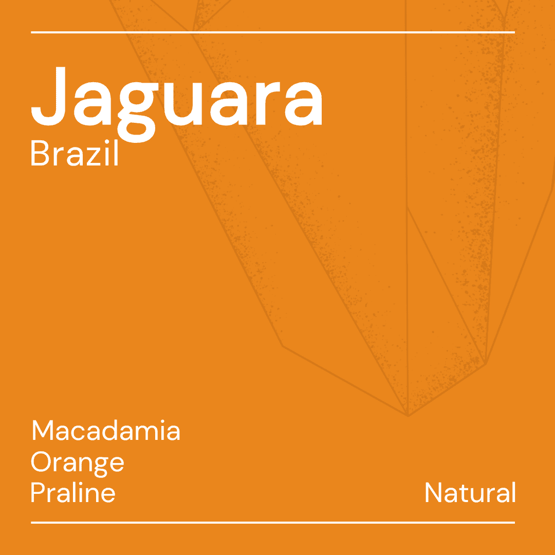 Jaguara