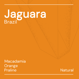 Jaguara - thumbnail 1