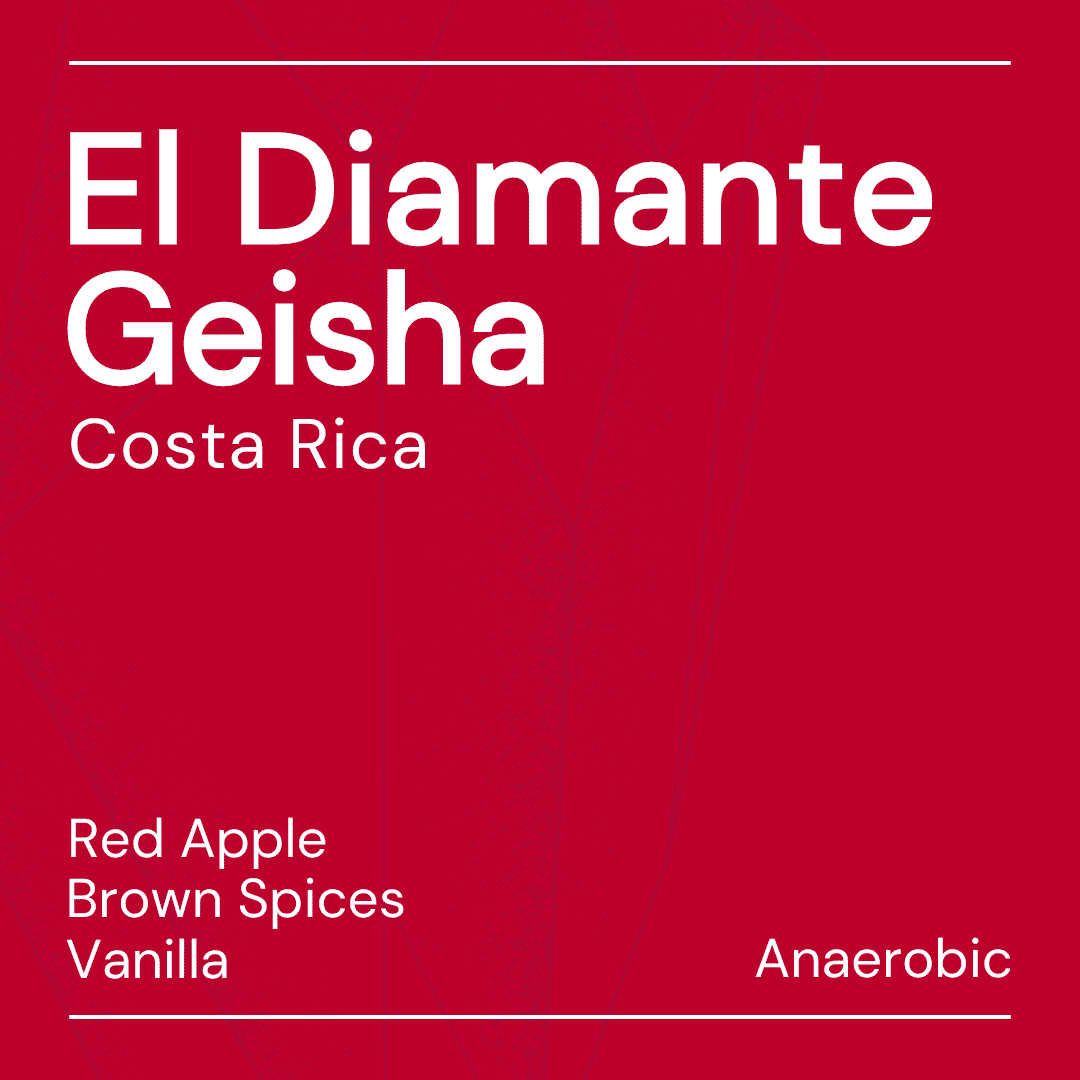 NEW – El Diamante Geisha