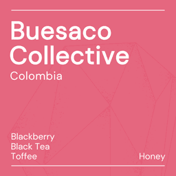 Buesaco Collective - thumbnail 1