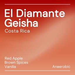 NEW – El Diamante Geisha - thumbnail 3