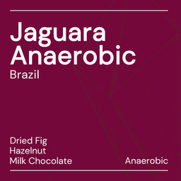 Jaguara Anaerobic - thumbnail 5