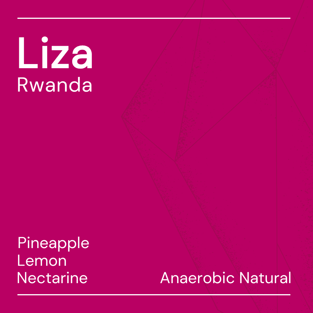 Liza