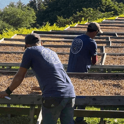 [C.O.E 6th Place] Costa Rica La Isla - thumbnail 3