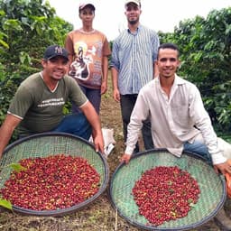 Silvio Roberto - thumbnail 2