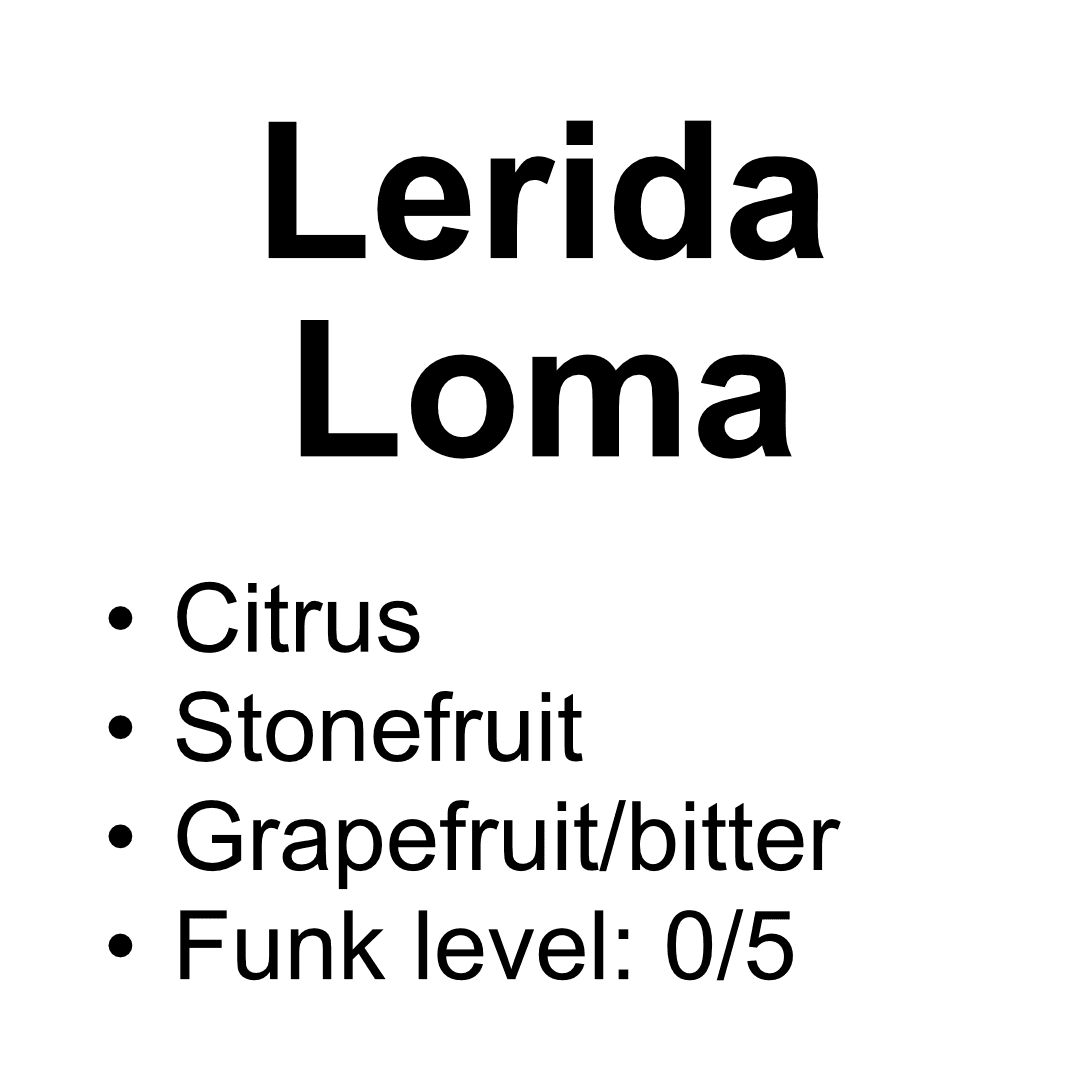 Freezer Re-release - Lerida Estate Loma - Washed Gesha