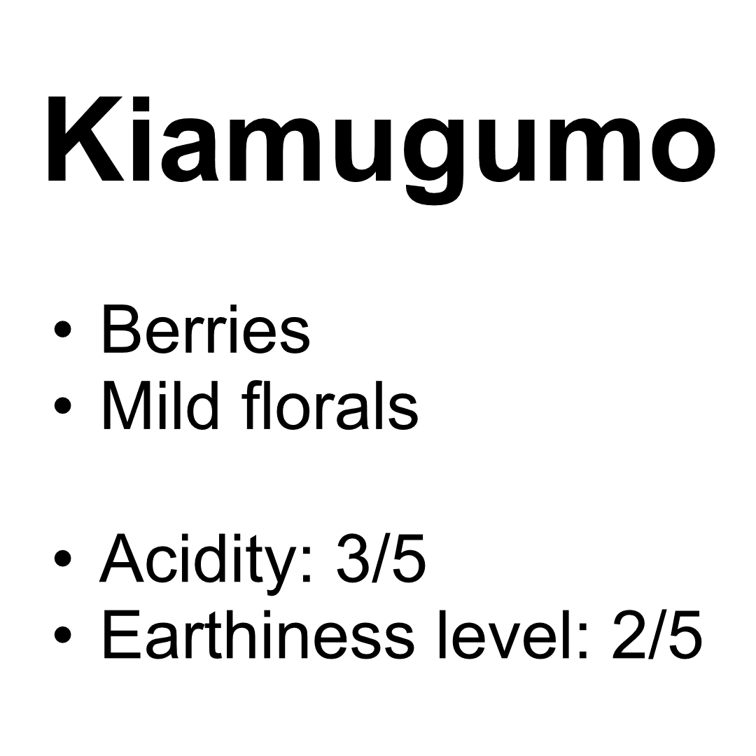 Kiamugumo AB - Washed Batian, Ruiru 11, SL28, SL34