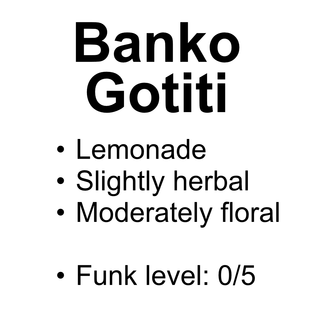 Banko Gotiti - Washed - French Roast