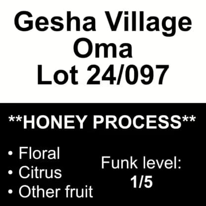 Gesha Village 24/097 – Honey Process Gesha 1931