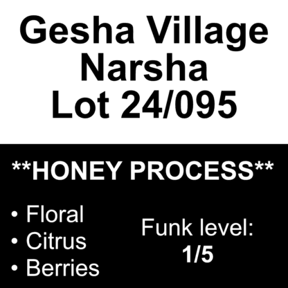 Gesha Village 24/095 – Honey Process Gesha 1931