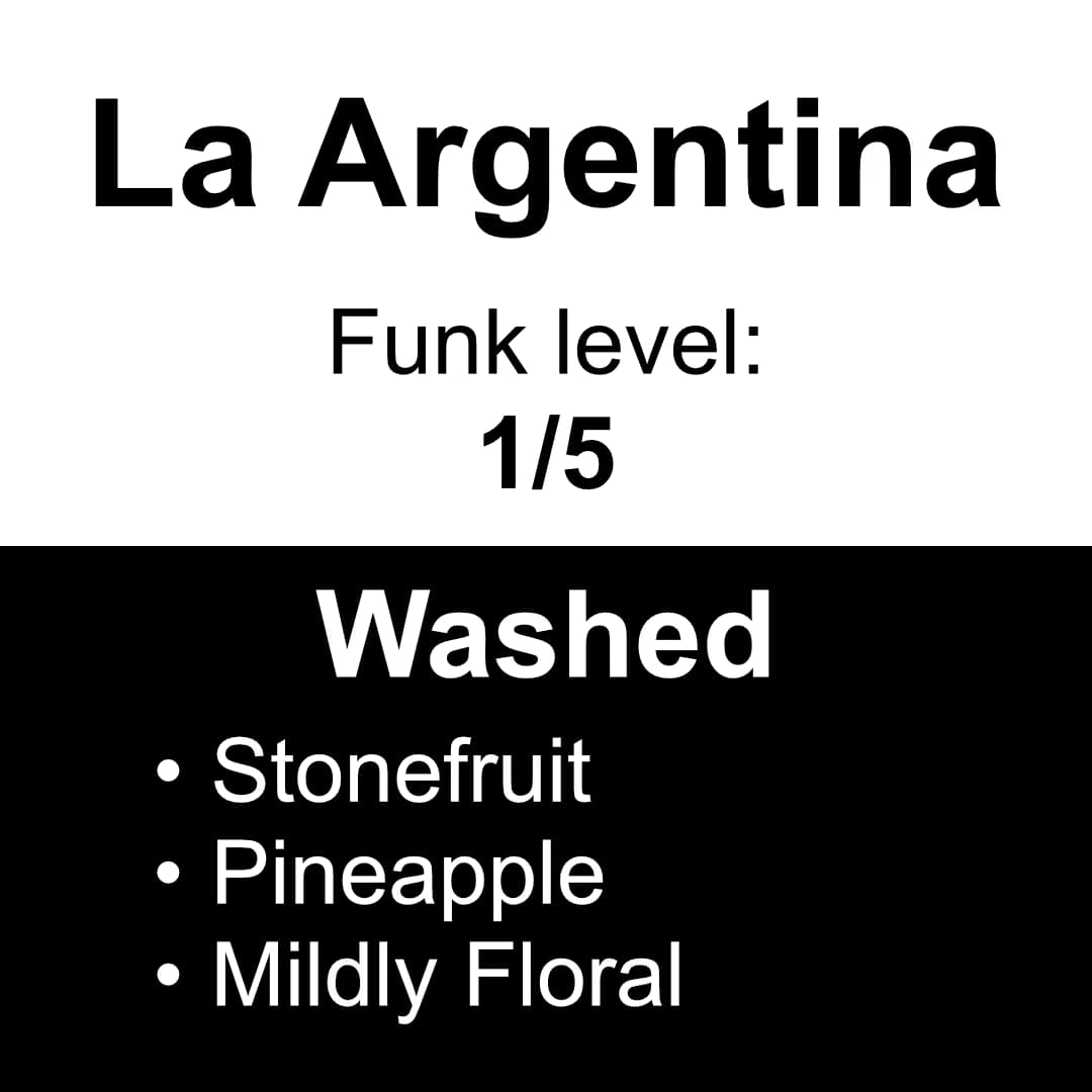 La Argentina - Washed Gesha
