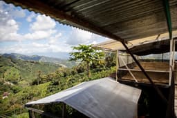 Villa Betulia — Vintage 2022 Caturron - thumbnail 2