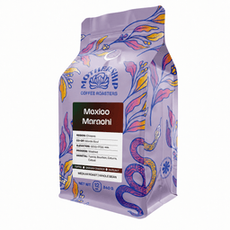 Mexico Marachi - thumbnail 2