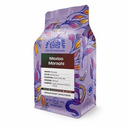 Mexico Marachi - thumbnail 1