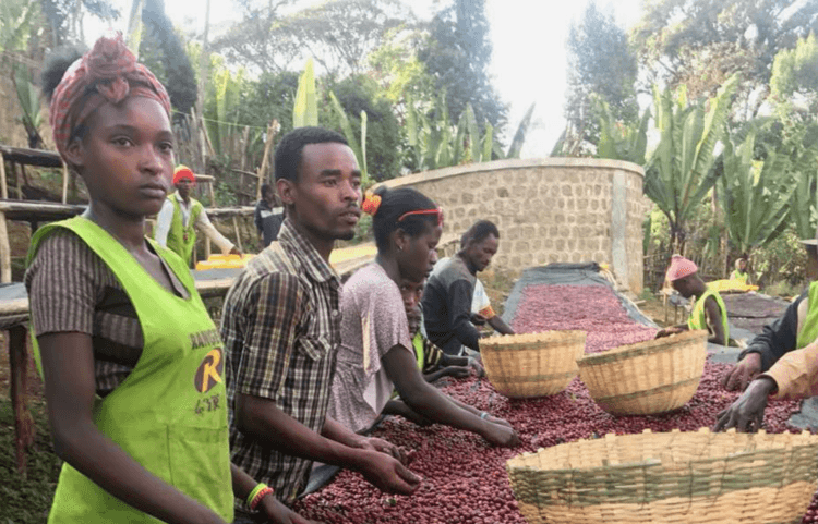 Whiskey Dreams, Moka-Java Blend