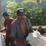 Nicaraguan Single Varietal Coffee - Los Congos Farm - thumbnail 3