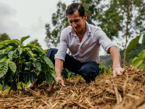 Peru Estrella Community Lot
