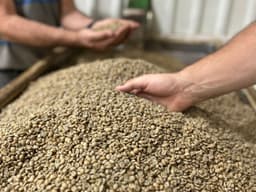 Rivense Caturra Honey - thumbnail 2