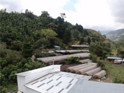 Rivense Caturra Honey - thumbnail 4