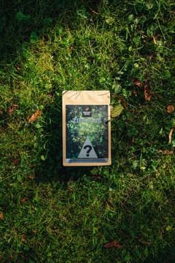 Ziedonis - thumbnail 2