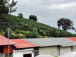 Costa Rica Don Joel Villa Sarchi - thumbnail 5