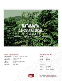 El Salvador Natamaya SL-28 Natural - thumbnail 3