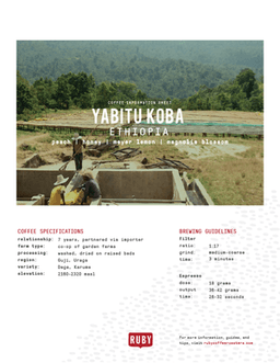 Ethiopia Yabitu Koba - thumbnail 3